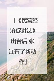 《民营经济促进法》出台后 张江有了新动作
