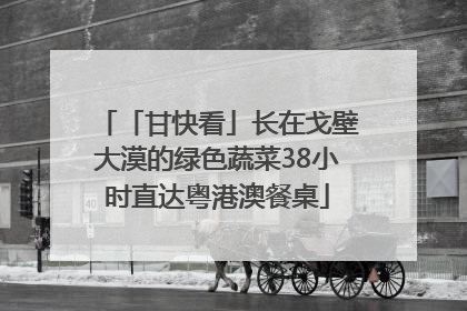 「甘快看」长在戈壁大漠的绿色蔬菜38小时直达粤港澳餐桌