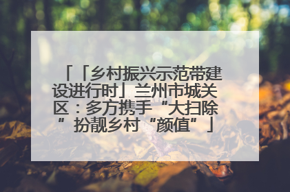 「乡村振兴示范带建设进行时」兰州市城关区：多方携手“大扫除”扮靓乡村“颜值”