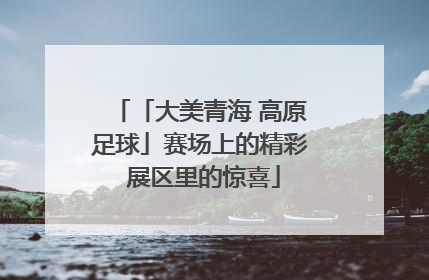 「大美青海 高原足球」赛场上的精彩 展区里的惊喜