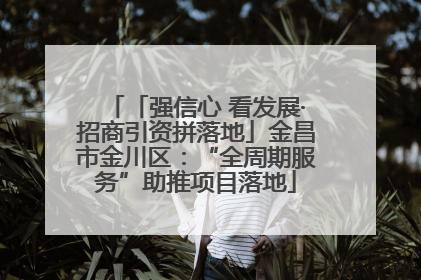 「强信心 看发展·招商引资拼落地」金昌市金川区：“全周期服务”助推项目落地