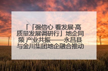 「强信心 看发展·高质量发展调研行」地企同频 产业共振——永昌县与金川集团地企融合推动重大项目建设