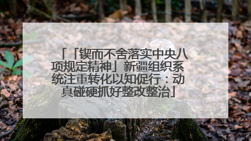 「锲而不舍落实中央八项规定精神」新疆组织系统注重转化以知促行：动真碰硬抓好整改整治