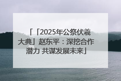「2025年公祭伏羲大典」赵东平：深挖合作潜力 共谋发展未来