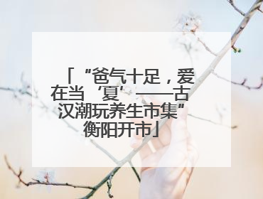 “爸气十足，爱在当‘夏’——古汉潮玩养生市集”衡阳开市