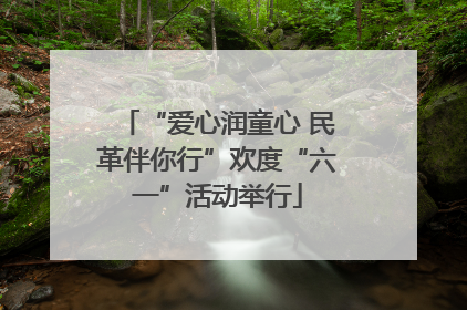“爱心润童心 民革伴你行”欢度“六一”活动举行