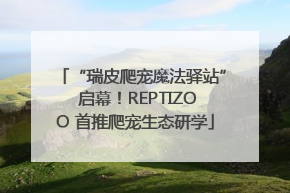 “瑞皮爬宠魔法驿站” 启幕！REPTIZOO 首推爬宠生态研学