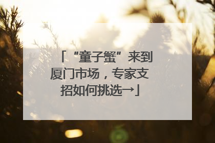“童子蟹”来到厦门市场，专家支招如何挑选→