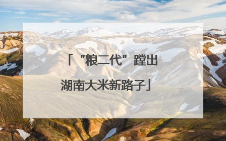 “粮二代”蹚出湖南大米新路子