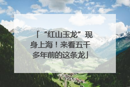 “红山玉龙”现身上海！来看五千多年前的这条龙