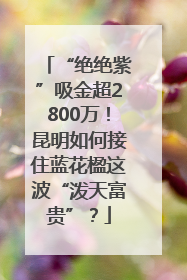 “绝绝紫”吸金超2800万！昆明如何接住蓝花楹这波“泼天富贵”？