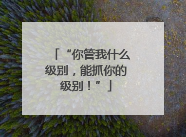 “你管我什么级别，能抓你的级别！”