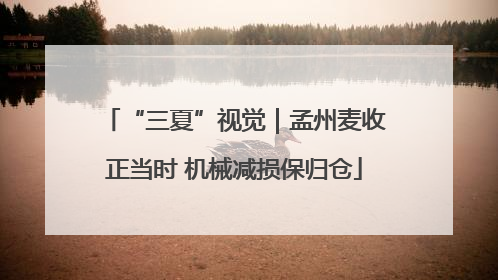 “三夏”视觉｜孟州麦收正当时 机械减损保归仓