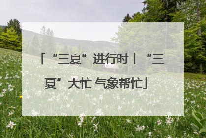 “三夏”进行时丨“三夏”大忙 气象帮忙