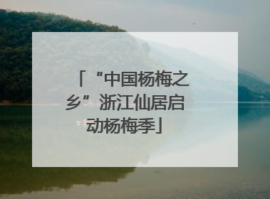 “中国杨梅之乡”浙江仙居启动杨梅季