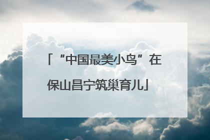 “中国最美小鸟”在保山昌宁筑巢育儿