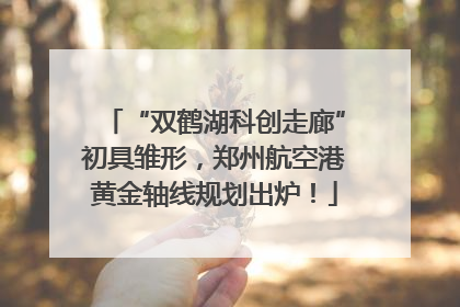 “双鹤湖科创走廊”初具雏形，郑州航空港黄金轴线规划出炉！
