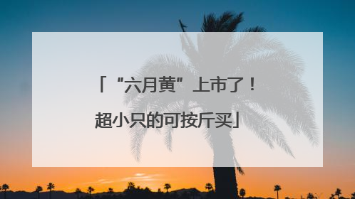 “六月黄”上市了！超小只的可按斤买