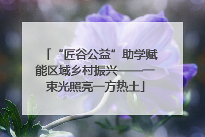 “匠谷公益”助学赋能区域乡村振兴——一束光照亮一方热土