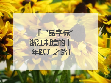 “品字标”浙江制造的十年跃升之路