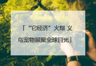 “它经济”火爆 义乌宠物展聚全球目光