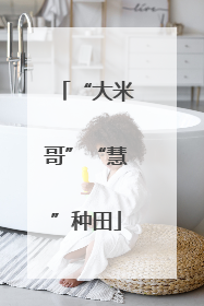 “大米哥”“慧”种田