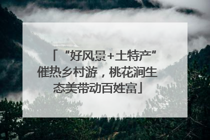 “好风景+土特产”催热乡村游，桃花涧生态美带动百姓富