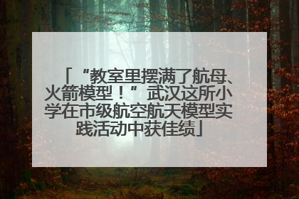 “教室里摆满了航母、火箭模型！”武汉这所小学在市级航空航天模型实践活动中获佳绩