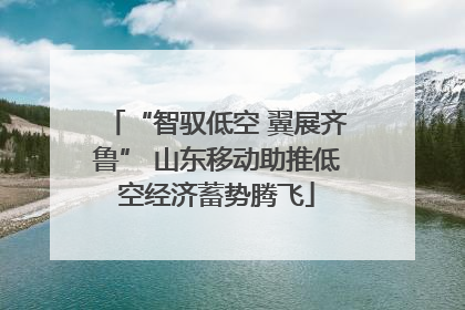 “智驭低空 翼展齐鲁” 山东移动助推低空经济蓄势腾飞