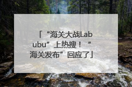 “海关大战Labubu”上热搜！“海关发布”回应了
