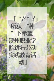 “芒”有所获 “种”下希望 滨州职业学院进行劳动实践教育活动