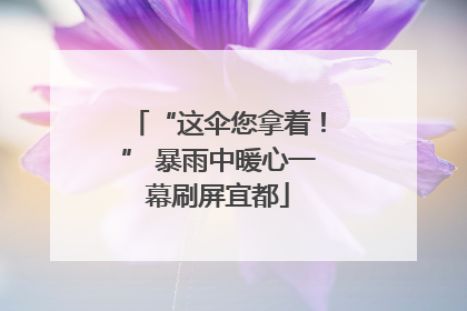 “这伞您拿着！” 暴雨中暖心一幕刷屏宜都