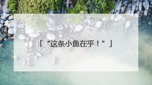 “这条小鱼在乎！”
