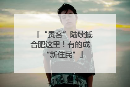 “贵客”陆续抵合肥这里！有的成“新住民”