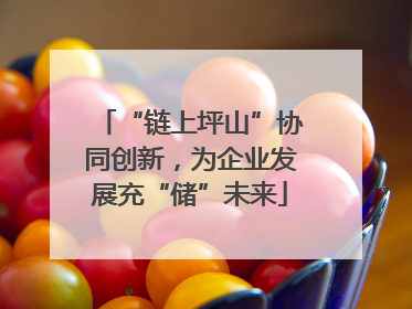 “链上坪山”协同创新,为企业发展充“储”未来