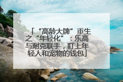 “高龄大牌”重生之“年轻化”：乐高与耐克联手，盯上年轻人和宠物的钱包