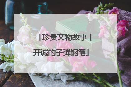 珍贵文物故事丨开诚的子弹钢笔