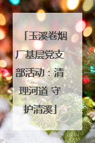 玉溪卷烟厂基层党支部活动：清理河道 守护清溪
