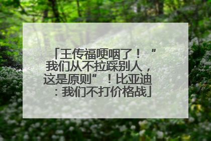 王传福哽咽了！“我们从不拉踩别人，这是原则”！比亚迪：我们不打价格战