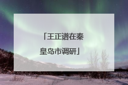 王正谱在秦皇岛市调研