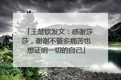 王楚钦发文：感谢莎莎，谢谢不管多痛苦也想证明一切的自己