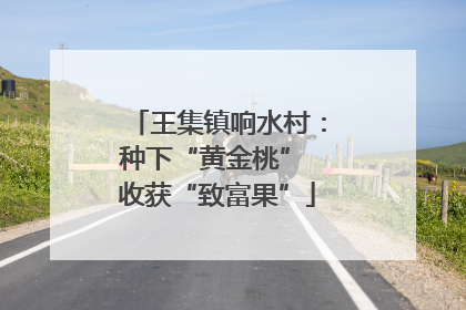 王集镇响水村：种下“黄金桃” 收获“致富果”