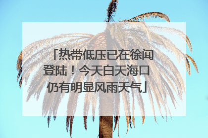 热带低压已在徐闻登陆！今天白天海口仍有明显风雨天气