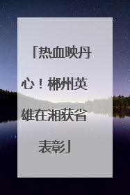 热血映丹心！郴州英雄在湘获省表彰
