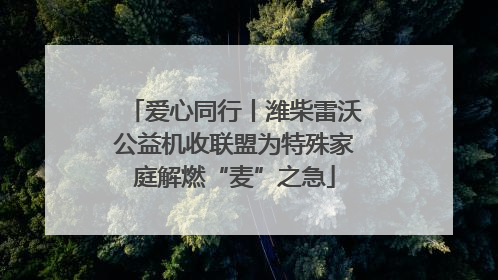 爱心同行丨潍柴雷沃公益机收联盟为特殊家庭解燃“麦”之急