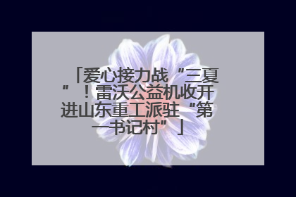 爱心接力战“三夏”！雷沃公益机收开进山东重工派驻“第一书记村”