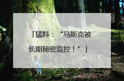 猛料：“马斯克被长期秘密监控！”