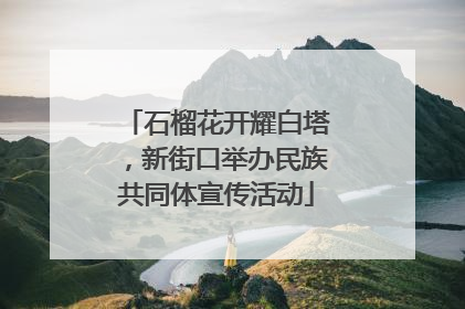 石榴花开耀白塔，新街口举办民族共同体宣传活动