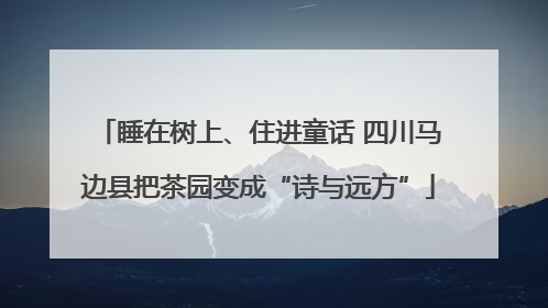 睡在树上、住进童话 四川马边县把茶园变成“诗与远方”