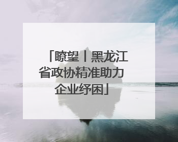 瞭望丨黑龙江省政协精准助力企业纾困